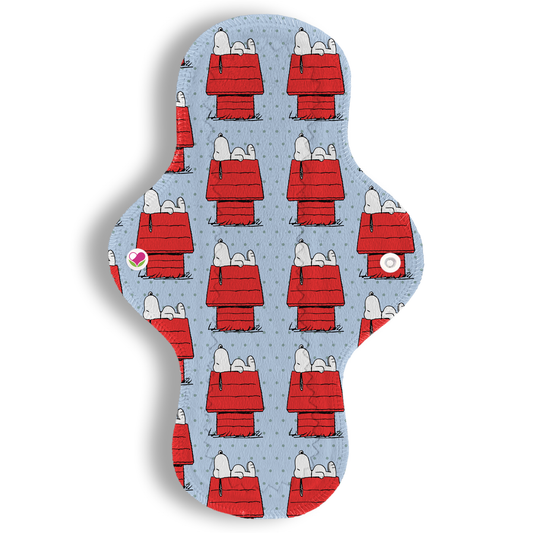 Abundante snoopy casita 29 cms