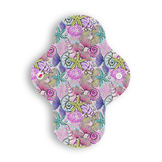 Ligera caracoles marinos 22 cms