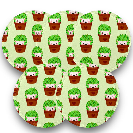 Desmaquillantes cactus pack 5 piezas 12 cms