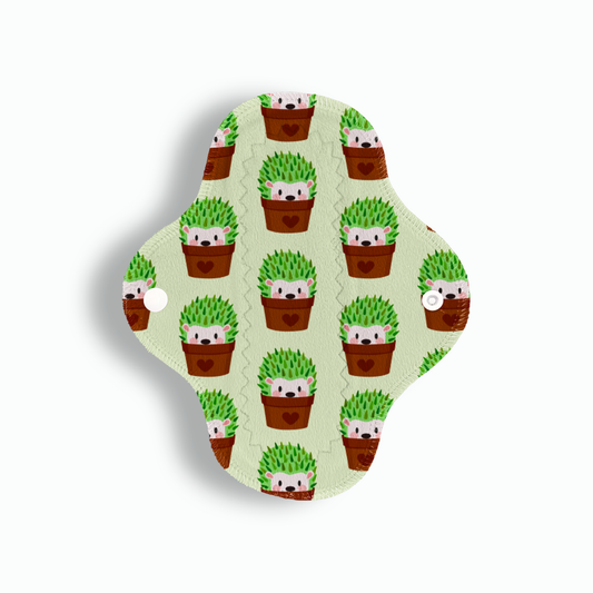 Maxi panti cactus 20 cms